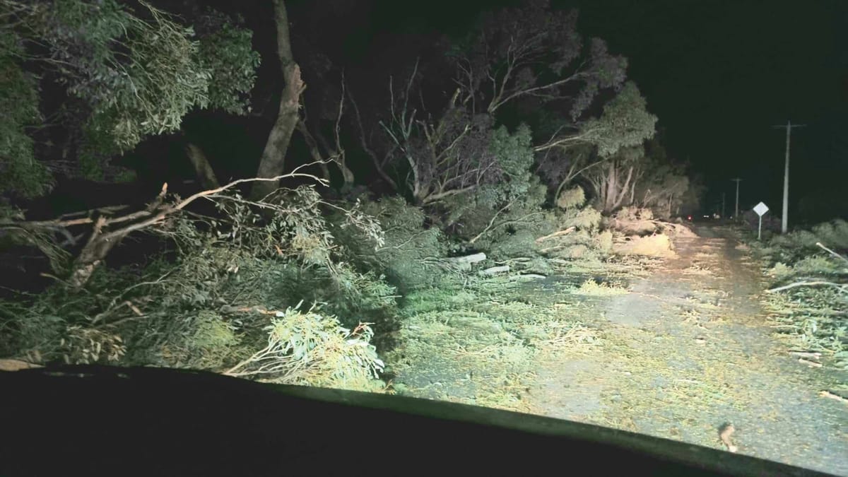 Habitat damage in wild weather