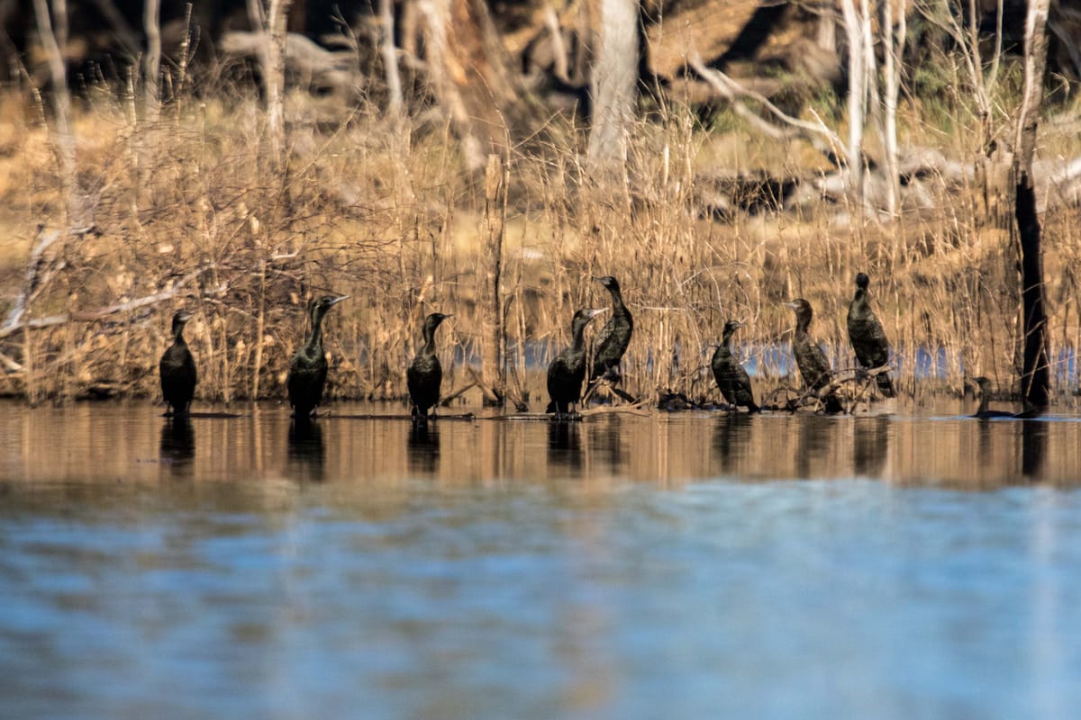 Hooks, lines and sinkers