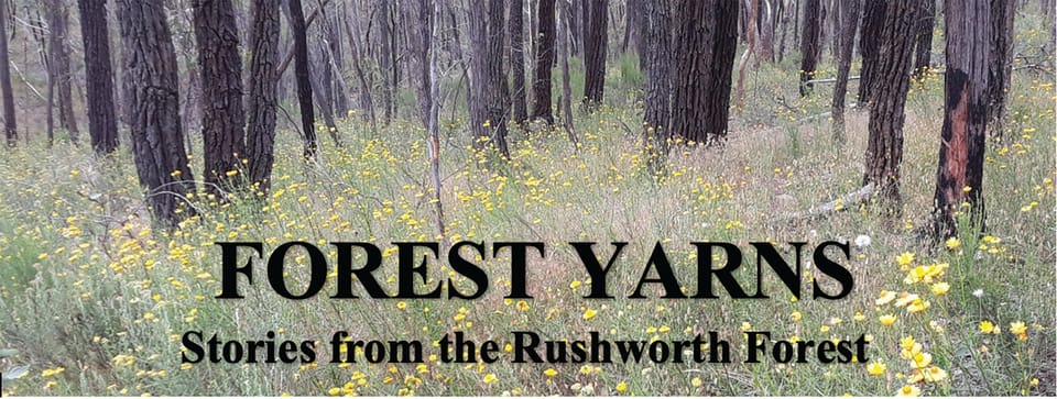 Rushworth forest timber output